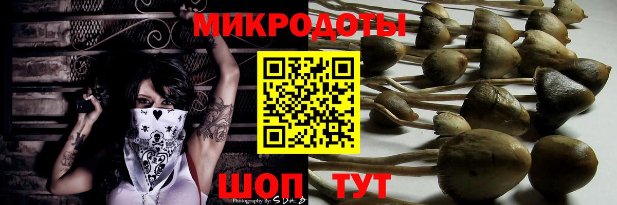 Лабытнанги  закладки  Вход с VPN  Галлюциногенные грибы мицелий 
