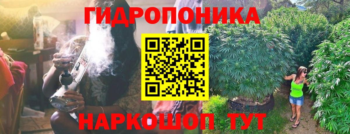 Марихуана конопля Лабытнанги
